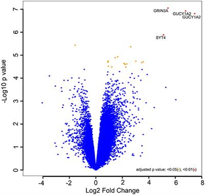 Gene Expression Profiling Analysis Reveals Putative Phytochemotherapeutic Target for Castration-Resistant Prostate Cancer